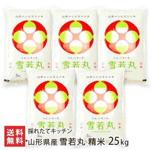 yߘa7NxVāzR`Y  Iׂ 5kg 10kg 15kg 20kg 25kg ̂ꂽăLb`  CX  䂫킩܂ LJ} Vs R`Y YҒ  Mtg v[g 