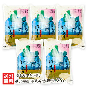 yߘa7NxVāzR`Y ͂ʂ  Iׂ 5kg 10kg 15kg 20kg 25kg ̂ꂽăLb`  CX  邿 Vs R`Y YҒ  Mtg v[g 蕨 