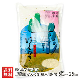 【令和7年度米】山形県産 はえぬき 精米 選べる 5kg 10kg 15kg 20kg 25kg 採れたてキッチン お米 ライス 白米 うるち米 天童市 山形産 生産者直送 お取り寄せ ギフト プレゼント 贈り物 代金引換決済不可 送料無料 お歳暮