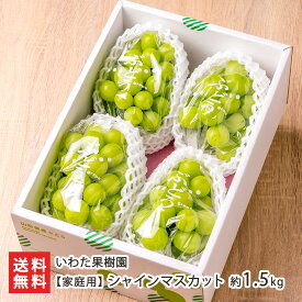 【家庭用】シャインマスカット 約1.5kg（3〜5房） いわた果樹園 山形産 山形直送計画 フルーツ ぶどう 葡萄 しゃいんますかっと 山形 盆地 東置賜郡 高畠町 山形県 生産者直送 お取り寄せ 送料無料