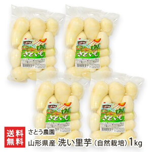 R`Y 􂢗iR͔|j Iׂ 1kg ` 2kg Ƃ_  TgC  ^pbN R`Y R`s R` YҒ  Mtg v[g 蕨  Ε