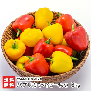 pvJixCr[LXj 1kgiԐFEF e500gj ` 3kgiԐFEF e1.5kgj YAMADEN AGRI  ʂ J[s[} ߃TCY S͔| y͔|  R` YҒ 