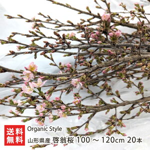 �R�`���Y �[���� 20�{ �I�ׂ钷�� 70�`80cm or 100�`120cm Organic Style �������������� �P�C�I�E�U�N�� �� �� ���i�͔| �~����J�� �V�t ���j�� ���蕨 �C�x���g �R�`�� ���Y�Ғ��� ������ �M�t�g