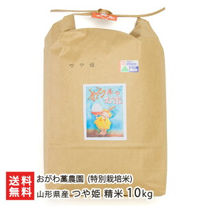 yߘa7NxVāz ʍ͔|āi_Ew엿jR`YP  Iׂ 5kg 10kg m_  ͂ CX  R`Y YҒ  Mtg v[g 蕨 