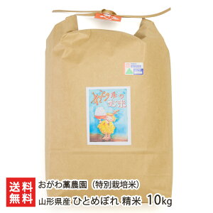 yߘa7NxVāz ʍ͔|āi_Ew엿jR`YЂƂ߂ڂ  Iׂ 5kg 10kg m_  ͂ CX  R`Y YҒ  Mtg v[g 