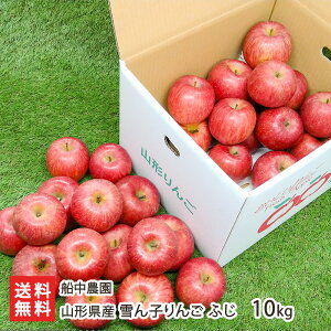 R`Y q ӂ Iׂ 5kgi16`18ʁj` 10kgi33`36ʁjD_ ь S  ӂ t[c ܍͔| zs R` YҒ  Mtg v[g 蕨 