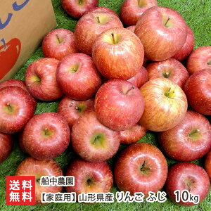 yƒpzR`Y ӂ 10kg D_ ь S  ӂ t[c ܍͔| zs R` YҒ  ϕs  Ε