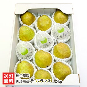 R`Y EtX Iׂ 3kgi7`9j` 5kg (12`16) D_ tX Eӂ m t[c  iV m mȂ miV R` YҒ  Mtg v[g 