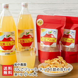 りんごジュース・チップス詰め合わせ 選べる 小 or 大 船中農園 林檎 リンゴ りんご ふじ ジュース ドライフルーツ 山形県 生産者直送 お取り寄せ ギフト プレゼント 贈り物 代金引換決済不可 送料無料