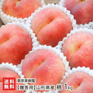 �y�����p�z�R�`���Y �� 1kg�i4�`7�ʁj �I���ʎ��� ���� ���� �s�[�` �t���[�c ���� �����͔| �����s �R�`�� ���Y�Ғ��� ������ �M�t�g �v���[���g ���蕨 ����������ϕs�� �������� ����