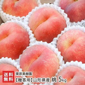 �y�����p�z�R�`���Y �� �I�ׂ� 1kg�i4�`7�ʁj �` 5kg�i14�`20�ʁj �I���ʎ��� ���� ���� �s�[�` �t���[�c ���� �����͔| �����s �R�`�� ���Y�Ғ��� ������ �M�t�g �v���[���g ���蕨 �����