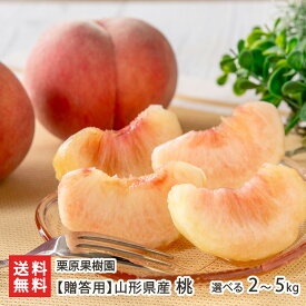 【贈答用】山形県産 桃 選べる 2kg（6〜9玉） 〜 5kg（14〜20玉） 栗原果樹園 もも モモ ピーチ フルーツ 中玉 草生栽培 東根市 山形県 生産者直送 お取り寄せ ギフト プレゼント 贈り物 代金引換決済不可 送料無料