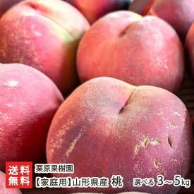 【家庭用】山形県産 桃 選べる 3kg（8〜13玉） 〜 5kg（14〜20玉） 栗原果樹園 もも モモ ピーチ フルーツ 中玉 草生栽培 東根市 山形県 生産者直送 お取り寄せ 代金引換決済不可 送料無料