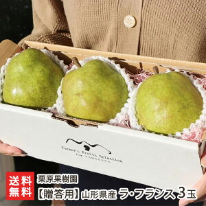 �y�����p�z�R�`���Y ���E�t�����X 3�ʁi��1.5kg�j �I���ʎ��� ��ӂ�� ���m�� �Ȃ� �i�V �t���[�c �~�M�t�g �����s �R�`�� ���Y�Ғ��� ������ �M�t�g �v���[���g ���蕨 �����������