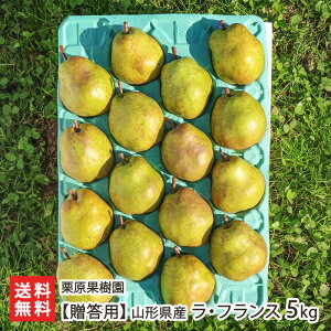 �y�����p�z�R�`���Y ���E�t�����X �I�ׂ� 3�ʁi��1.5kg�j �` 5kg�i14�`18�ʁj �I���ʎ��� ��ӂ�� ���m�� �Ȃ� �i�V �t���[�c �~�M�t�g �����s �R�`�� ���Y�Ғ��� ������ �M�t�g �v���[��