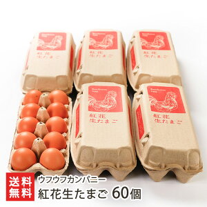 �g�Ԑ����܂� 30�� �` 60�� �E�t�E�t�J���p�j�[ �{�� �ʎq ���܂� �^�}�S �_��HACCP�擾 �V�R�f�ޗR���̎��� �đ�s �R�`�� ���Y�Ғ��� ������ �M�t�g �v���[���g ���蕨 ����������ϕs�� 