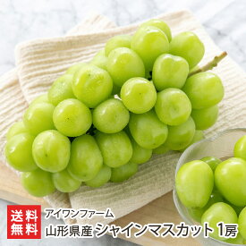 山形県産シャインマスカット 1房 〜 2房 アイワンファーム 果物 フルーツ しゃいんますかっと 葡萄 ぶどう ブドウ 東根市 山形県 生産者直送 お取り寄せ ギフト プレゼント 贈り物 代金引換決済不可 送料無料