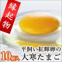 1/22日発送 大寒たまご 手づくり卵農場の平飼い卵 紅輝卵(こうきらん)10個入り 大寒卵