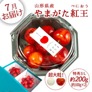 さくらんぼ 200g」の人気商品一覧 | 安い商品を通販サイトから探す 