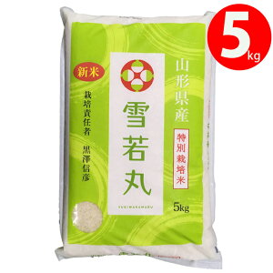 }\yő1000~OFFzN[|zz V 2025NxY ߘa7NxY  5kg  Vt@[ R` YҒ̂ߓs  R`zs ʍ͔|