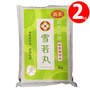 V 2025NxY ߘa7NxY  2kg R`  Vt@[ YҒ̂ߓs  R`zs ʍ͔|