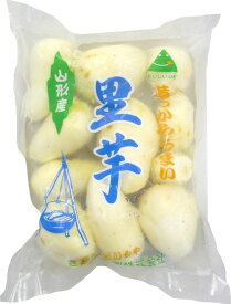 芋煮用 山形県産里芋（洗い＆むき）1600g（400g×4）【クール便】【宅配Box不可】【あす楽対応不可】バーベキューで山形のいも煮会を♪