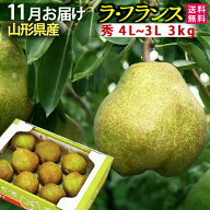 11月より発送開始予定 ギフト 山形県産 ラフランス 約3kg 贈答用 秀4L〜3L 約3キロ フルーツ 送料無料【…
