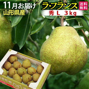 11Jn\ Ε R`Y tX 3kg ƒp GL (3L) t[c ykCEElEBE͑+500~z