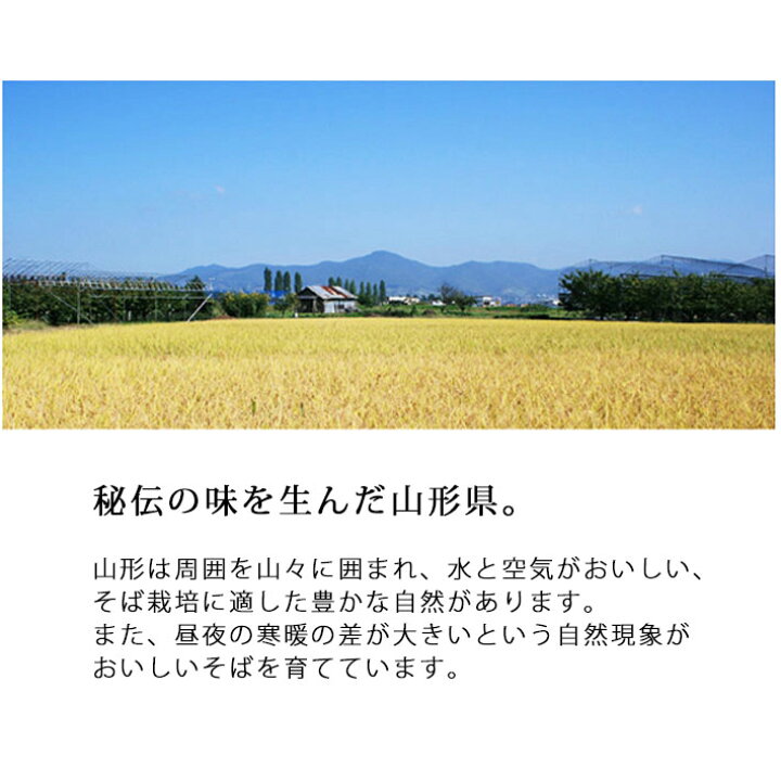 739円 メーカー在庫限り品 酒井製麺所 山形名物 こんにゃくそば 5把 食物繊維 たっぷり ヘルシー 麺 置き換え 麺一筋 80年 山形県 山形市 739円 メーカー在庫限り品 酒井製麺所 山形名物 こんにゃくそば 5把 食物繊維 たっぷり ヘルシー 麺 置き換え 麺一筋 80年 山形県 山形市