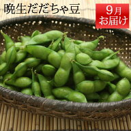 お取り寄せ 枝豆 おつまみ だだちゃ豆 山形県鶴岡市 9月お届け 晩生 だだちゃ豆 900g（450g×2）エコファ…