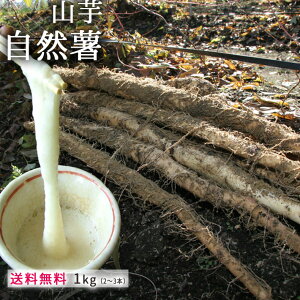 R` Γc Ri˂񂶂j1kg lΉ ƂyYҒ̂߂ق̏iƓsz