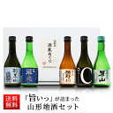 遅れてごめんね 父の日 日本酒 飲み比べセット 300ml×5本セット 山形 地酒 辛口 送料無料 父の日 ギフト プレゼント 2019