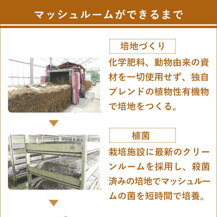 216円 最大83%オフ! 乾燥マッシュルーム15g 216円 最大83%オフ! 乾燥マッシュルーム15g