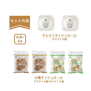 yM`}bV[zR`YN~j}bV[2 p4܋lߍ킹ZbgyN[ցz yYҒ̂߂ق̏iƓsz