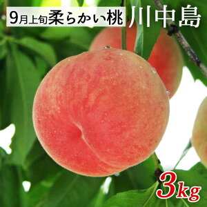 9�����͂� �R�`���������Y �쒆�� ���� ��3kg�i�ʐ����܂����j�y���Y�Ғ����̂��߂ق��̏��i�Ɠ����s�z�y���������z