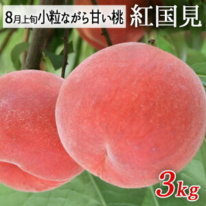 8����{���͂����\�� �� ���ʓ� �g���� ��3kg�i�ʐ����܂����j�R�`���������Y�� �y���Y�Ғ����̂��߂ق��̏��i�Ɠ����s�z
