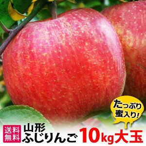 12\ t[c  Tӂ  10kg i36ʁjӂ  R`Y 