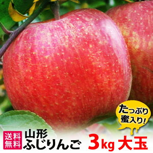 12\ t[c  Tӂ  3kgi10ʁjӂ  R`Y 