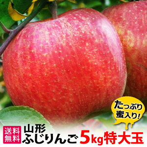 12\ t[c  Tӂ 5kg  16 ӂ  R`Y