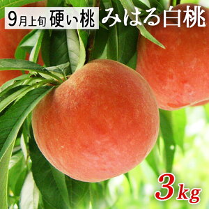 9�����͂� �� �d���� �݂͂锒�� ��3kg�i�ʐ����܂����j(��������) �������� �R�`���Y ���Y�Ғ������̏��i�Ɠ����s��