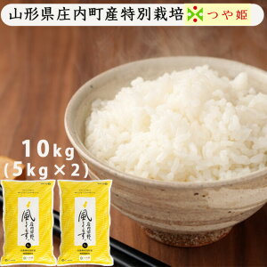 10{蔭Jn\ V 2025NxY ߘa7NxY  10kg(5kgx2)  ʍ͔| P R`Y ăVXg