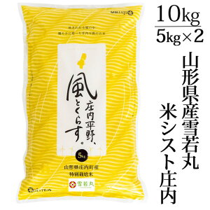 V 2025NxY ߘa7NxY  10kg(5kgx2)  ʍ͔|  R`Y ăVXg