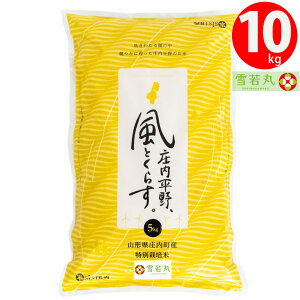 V 2025NxY ߘa7NxY  10kg(5kgx2)  ʍ͔|  R`Y ăVXg