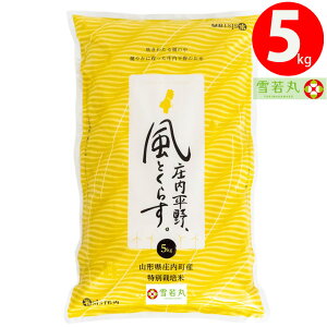 新米 2025年度産 令和7年度産 米 5kg 送料無料 特別栽培米 雪若丸 山形県産 米シスト庄内