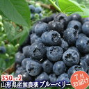 完熟 大粒 ブルーベリー 生700g(350g×2）山形県産 無農薬 クール便
