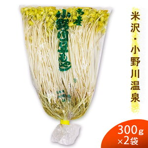 쉷̓₵300g x2 Yn̂ߓs 󃌃XgŏЉI R`đsY