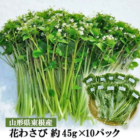 山形県産 花わさび 約45gx10パック 送料無料 山菜