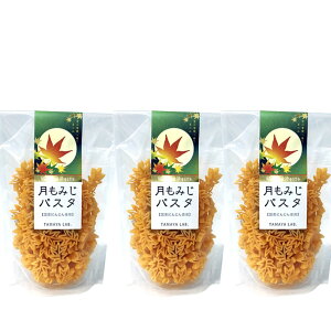 ʒJ ݂pX^ Yɂ񂶂gp 100g × 3܃Zbg 킢 ٓ̃fR[V  J[pX^ fR ̐Fǂ fR[VpX^ gbsO