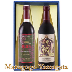 Mtg RԂǂW[X720mlx2{ݔ׃Zbg RԂǂtxRԂǂʏ` ł͂܂񁦃MtgZbg ϔ EbZ[W