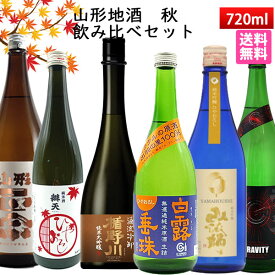 日本酒 飲み比べセット 山形 秋のお酒 720ml×6本 送料無料 楯野川・弁天・六歌仙 山法師・山形正宗・栄光冨士・はくろすいしゅ　クール便